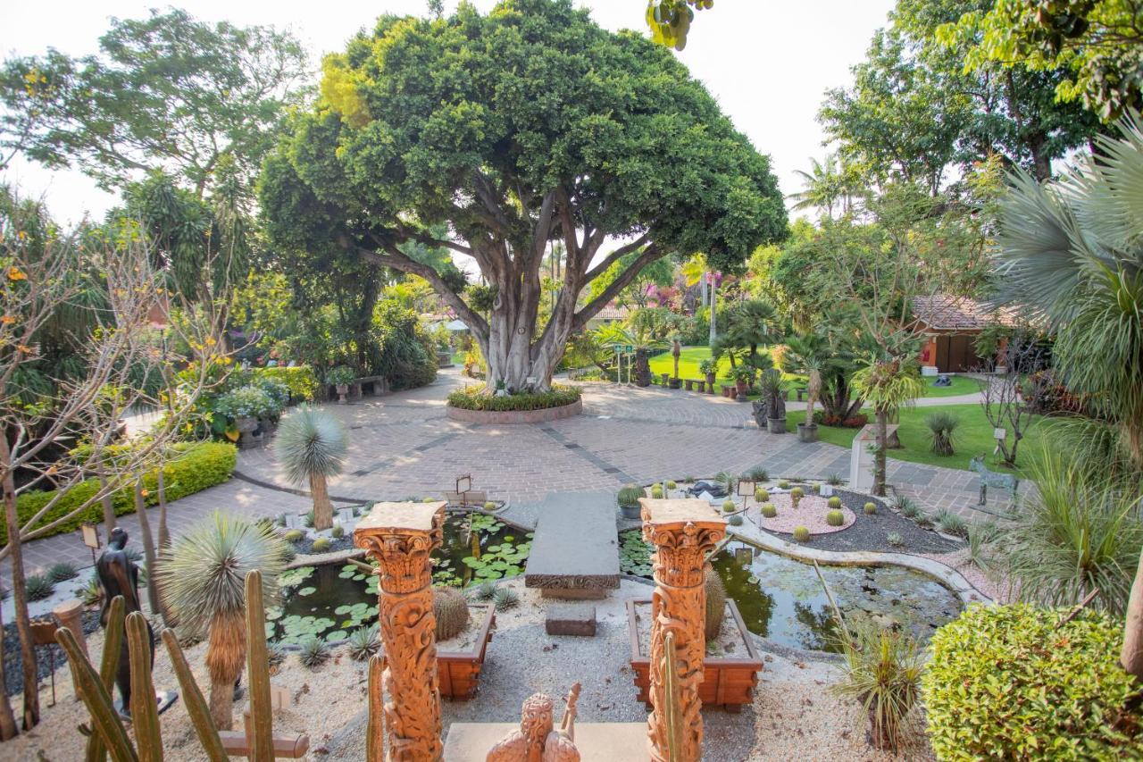 Hosteria Las Quintas Hotel Restaurante Bar Cuernavaca Luaran gambar The main tree at the center of the garden